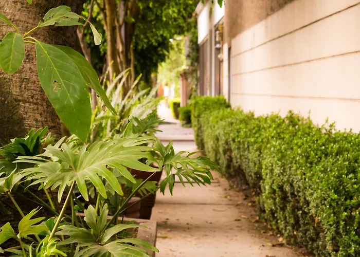 Apartment 1-a Monasterio Garden House Welcome To San Angel Mexico City