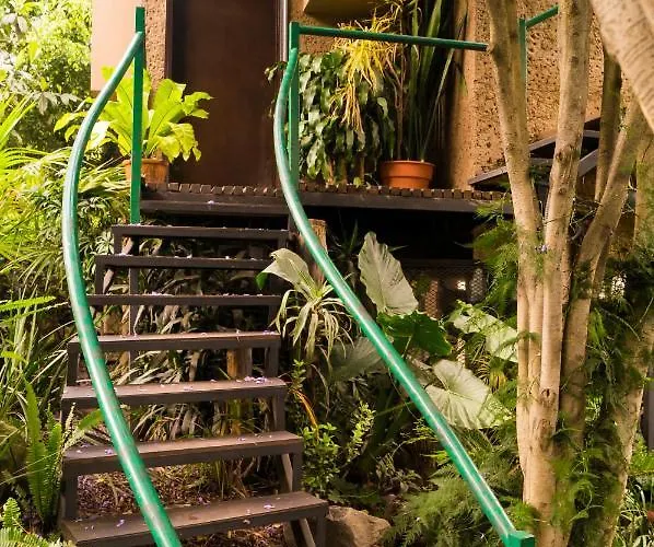 1-a Monasterio Garden House Welcome To San Angel Apartment