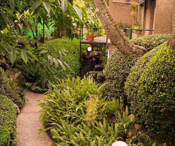 1-a Monasterio Garden House Welcome To San Angel *