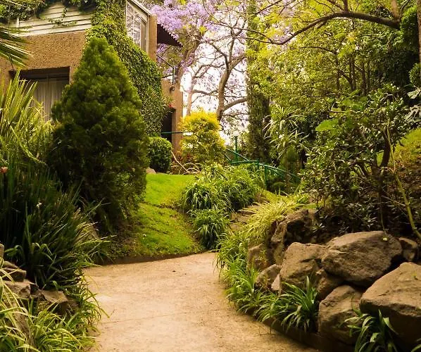 Apartment 1-a Monasterio Garden House Welcome To San Angel Mexico City