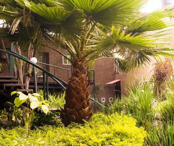 1-a Monasterio Garden House Welcome To San Angel *