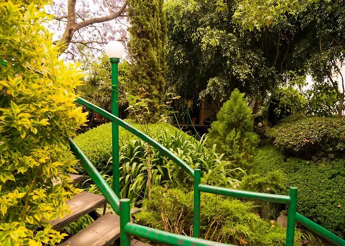 1-a Monasterio Garden House Welcome To San Angel Mexico City