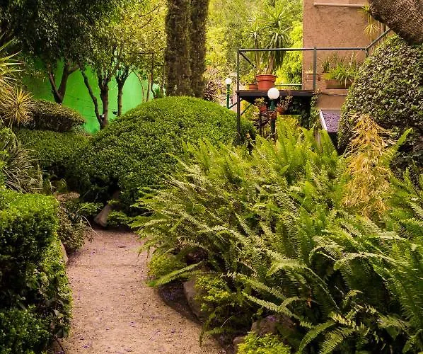 1-a Monasterio Garden House Welcome To San Angel Apartment *