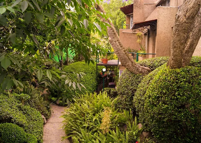 Apartment 1-a Monasterio Garden House Welcome To San Angel