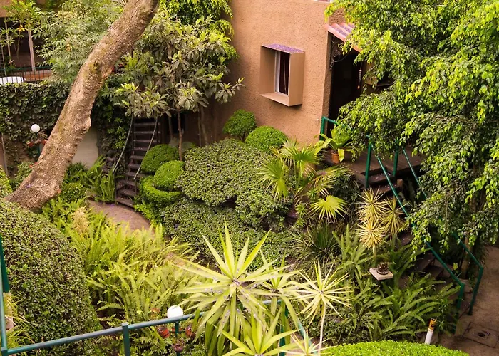 1-a Monasterio Garden House Welcome To San Angel Apartment Mexico City