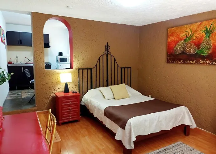 Apartment 1-a Monasterio Garden House Welcome To San Angel *