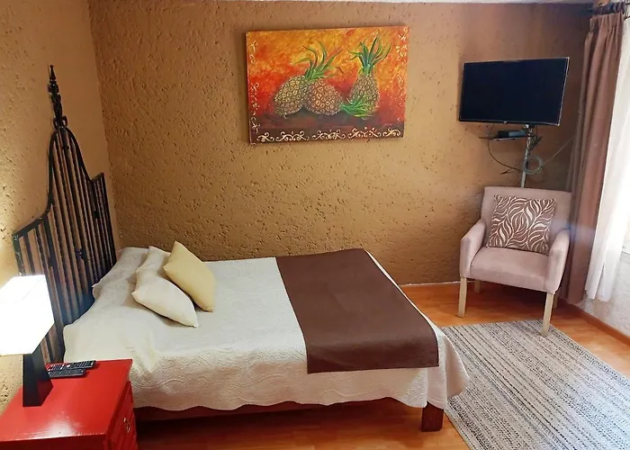 1-a Monasterio Garden House Welcome To San Angel