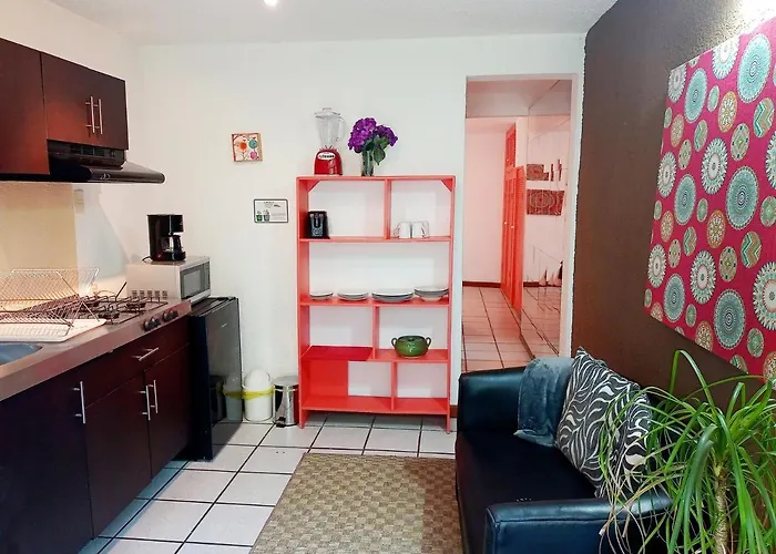 Apartment 1-a Monasterio Garden House Welcome To San Angel