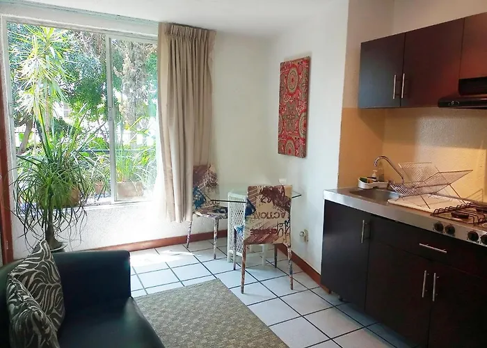 Apartment 1-a Monasterio Garden House Welcome To San Angel *