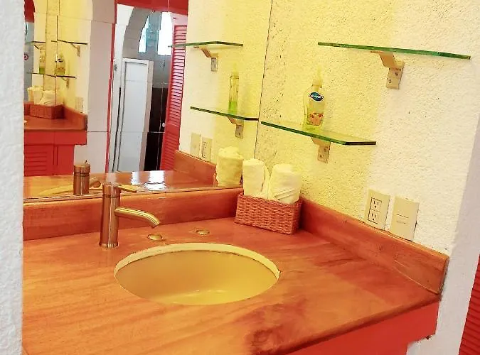Apartment 1-a Monasterio Garden House Welcome To San Angel Mexico City