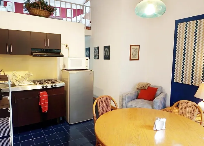 1-a Monasterio Garden House Welcome To San Angel Apartment Mexico City