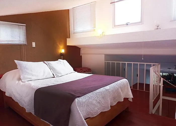 1-a Monasterio Garden House Welcome To San Angel * Mexico City