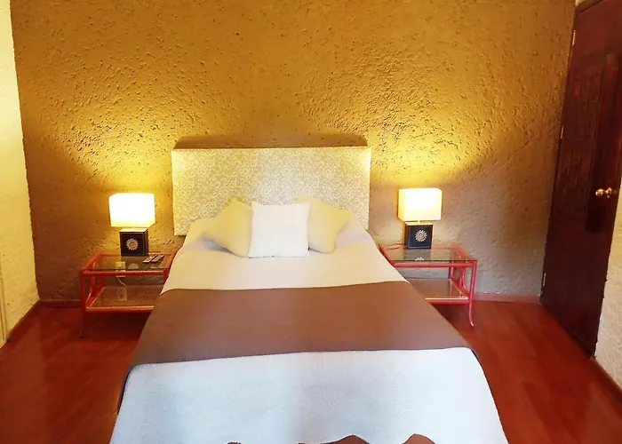 Apartment 1-a Monasterio Garden House Welcome To San Angel *