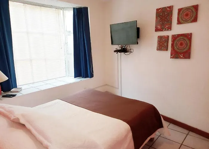 Apartment 1-a Monasterio Garden House Welcome To San Angel Mexico City
