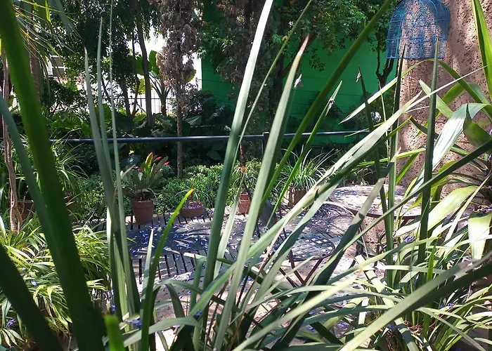 1-a Monasterio Garden House Welcome To San Angel Apartment Mexico City