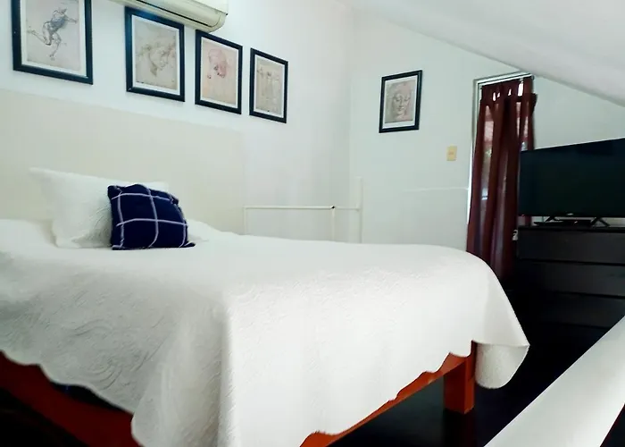 1-a Monasterio Garden House Welcome To San Angel Apartment *