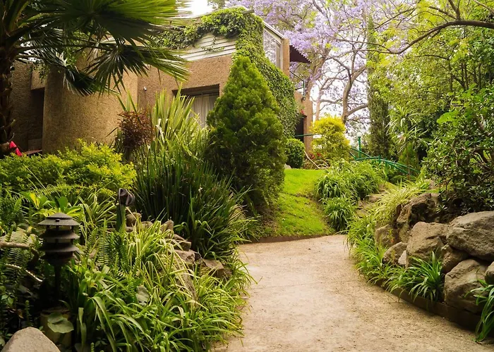 1-a Monasterio Garden House Welcome To San Angel