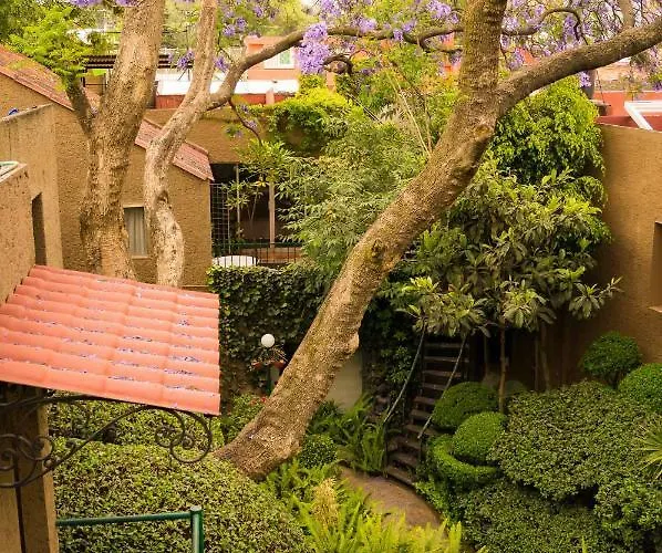 1-a Monasterio Garden House Welcome To San Angel Apartment Mexico City