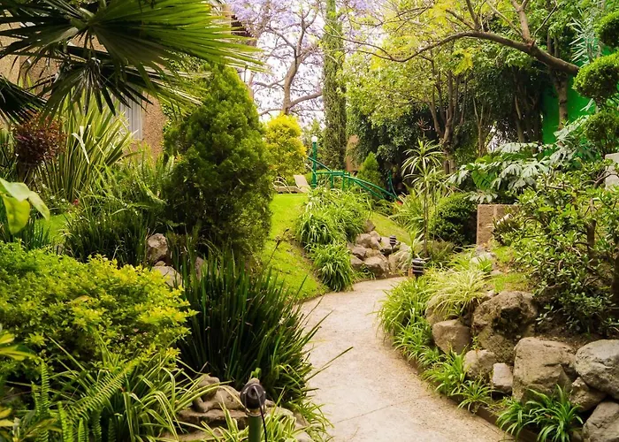 1-a Monasterio Garden House Welcome To San Angel Apartment *